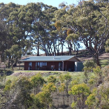 Molly'S Chase Bed and Breakfast Emu Flat Exteriör bild