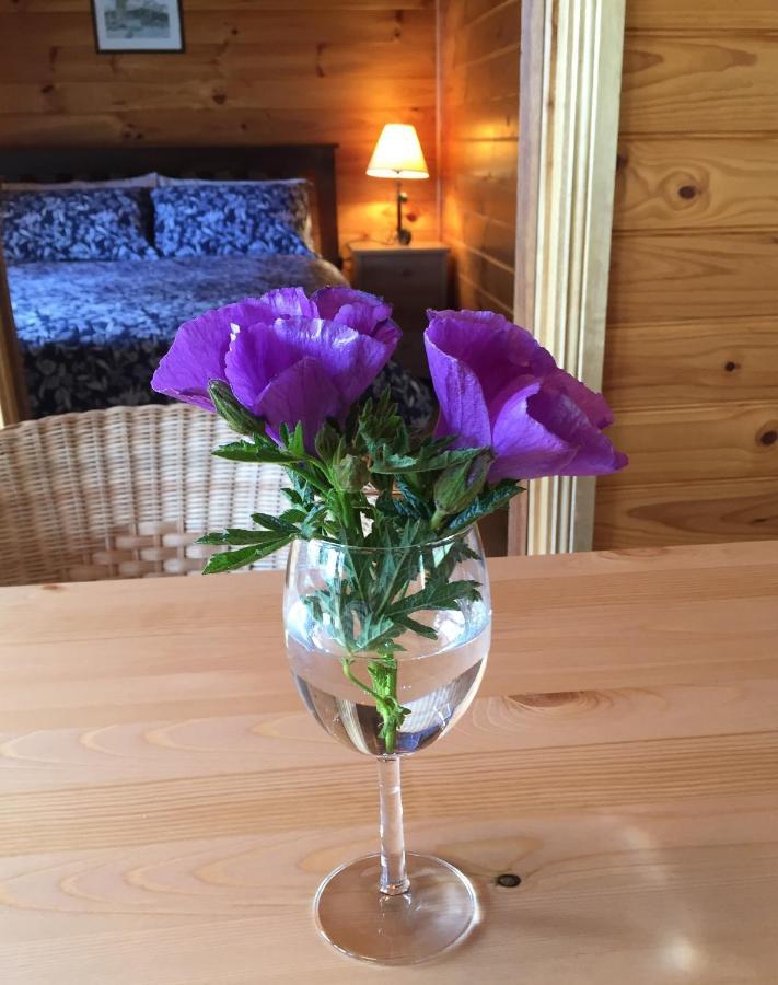 Molly'S Chase Bed and Breakfast Emu Flat Exteriör bild